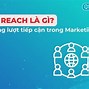 Jvnet Vietnam Ltd Là Công Ty Gì 2023