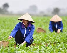 Lao Động Nông Thôn Là Gì